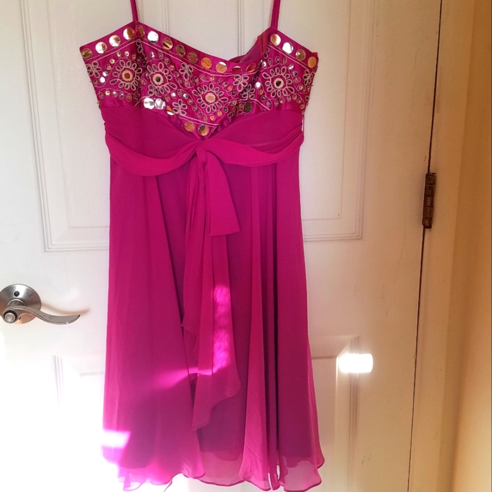 BCBGMAXAZRIA  Chiffon Fuschia Whimsical Dress (Size 6)